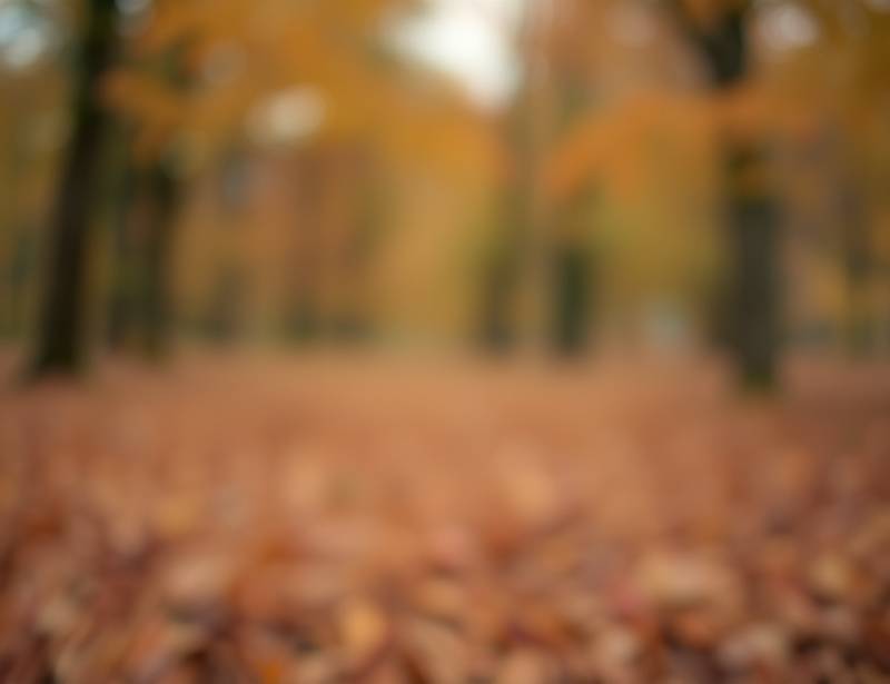 Example photo demonstrating shallow depth of field with a blurred background and a sharp foreground object.